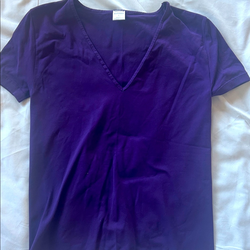 Purple V-Neck Women's express Top